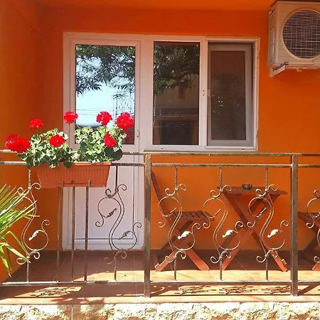 Floarea Etiquette Costineşti